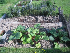 Allotment